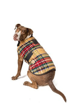 Dog Wearing Chilly Dog Tan Tartan Plaid Dog Coat