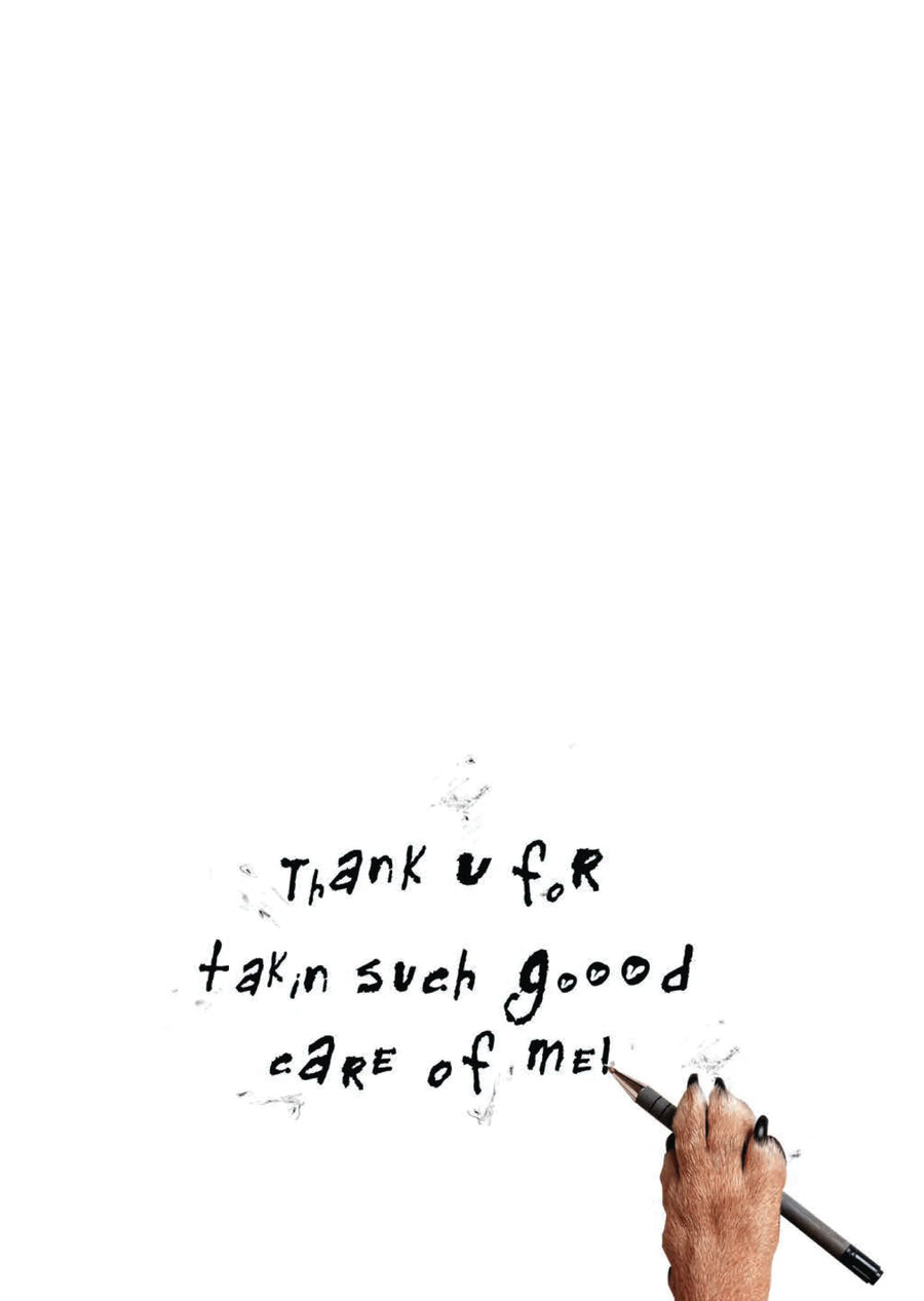 Thank You - Pet Sitter - Dog Bones Greeting Card