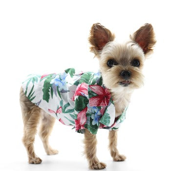 Dogo Tropical Island Dog Shirt
