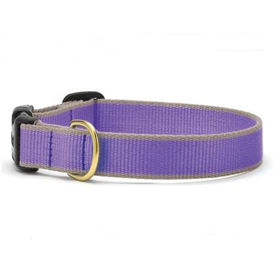 Color Market Dog Collar & Leash Collection