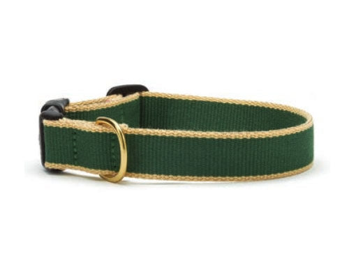 Color Market Dog Collar & Leash Collection