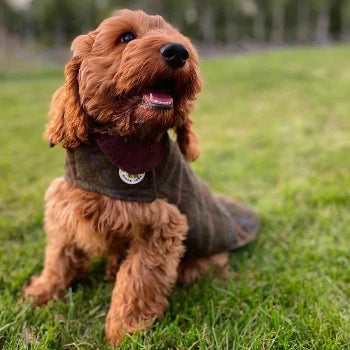 Green Tweed Coat