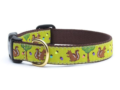 Nuts Collar & Leash Collection