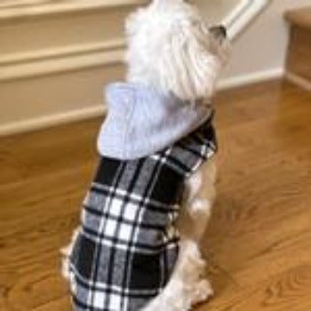 Weekender Dog Sweatshirt Hoodie - Black & White Plaid Flannel