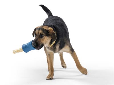 Seaflex Funnl® Dog Toy