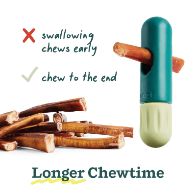 Teal and green pet chew toy with bully sticks on a white background