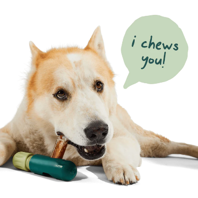 Dog chewing on a green dog chew toy with a speech bubble saying 'i chews you!' on a white background