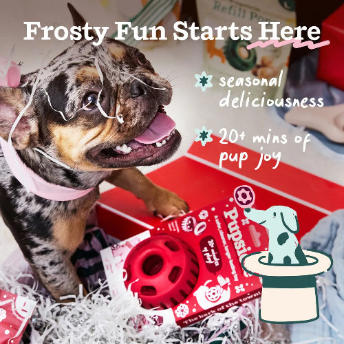 'Holiday Jolly' Pupsicle Toy - LIMITED EDITION