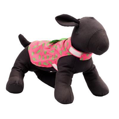 Plush dog toy with a pink and green dress on a white background