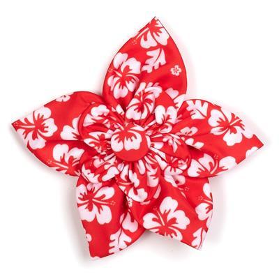 Red bow with white flowers on white background