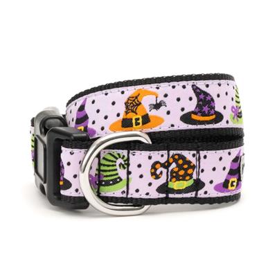 Dog collar with Halloween-themed design featuring witch hats on a white background