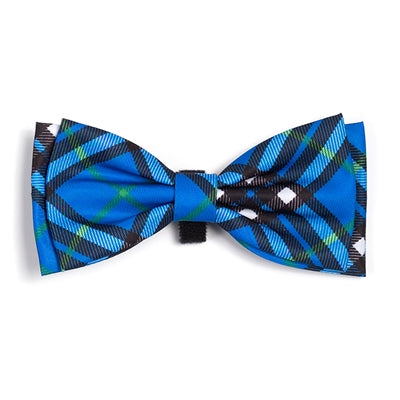 Blue and black plaid bow tie on a white background