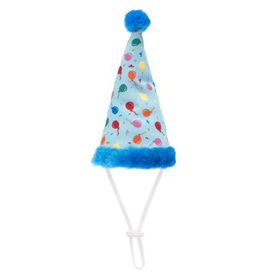 Birthday Party Hat & Toy