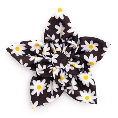 Black Daisy Collar Flower