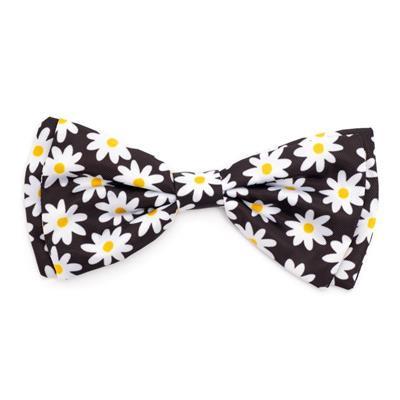 Bow tie with daisy pattern on a white background