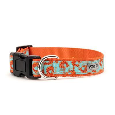 Dog collar with orange and blue pattern on a white background