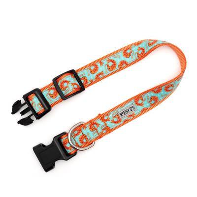 Dog collar with orange and blue pattern on a white background