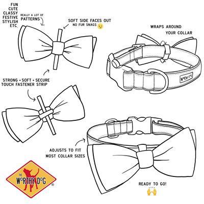 Diagram of a dog collar with bow tie, featuring text on features and Worthy Dog logo.