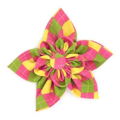 Colorful argyle patterned flower-shaped collar bow on a white background