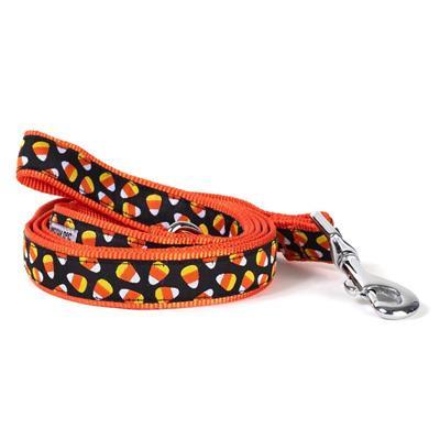 Dog leash with candy corn pattern on a white background