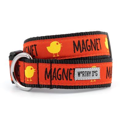 Chick Magnet Collar & Leash Collection