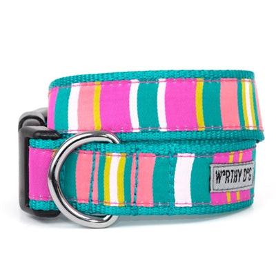 Multicolored striped dog collar with a metal buckle on a white background