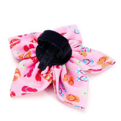 Pink collar flower with colorful patterns and a black center on a white background