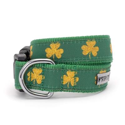 Green dog collar with yellow shamrock patterns on a white background