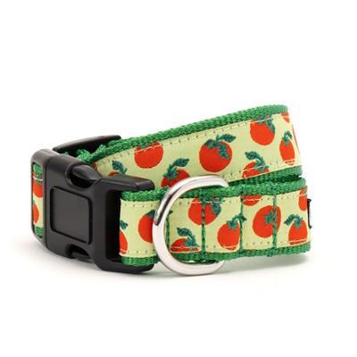 Dog collar with tomato pattern on a white background