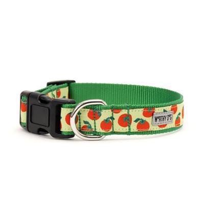 Green dog collar with tomato pattern on a white background