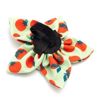 Green bow with red tomatoes and black Velcro closure on white background