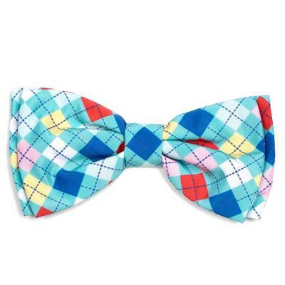 Colorful checkered bow tie on a white background