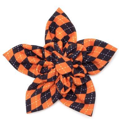 Orange & black argyle patterned dog collar flower on white background