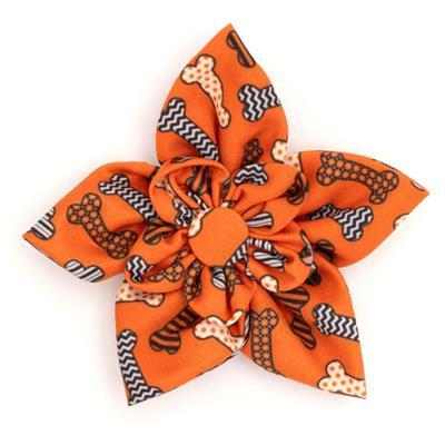 Orange dog collar flower with black and white patterns on a white background