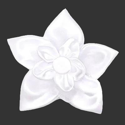 White bow dog collar flower on a black background