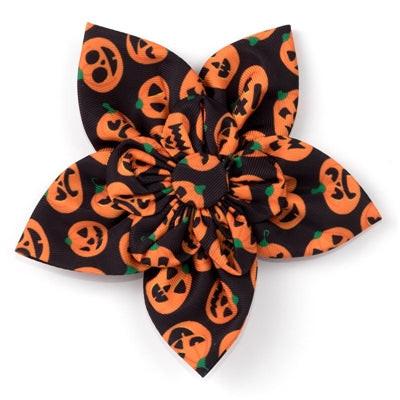 Halloween-themed collar flower bow with orange pumpkins on a black background