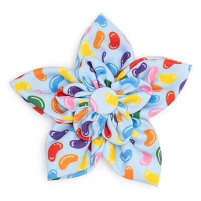 Blue dog collar flower with multi-colored jelly beans pattern on white background