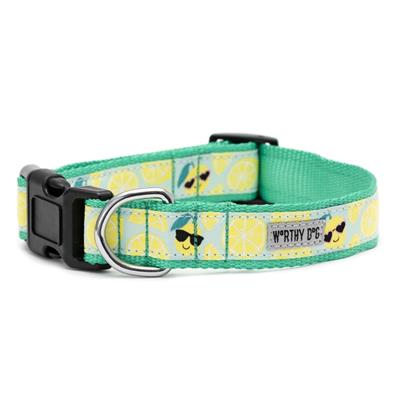 Lemons Collar & Leash Collection