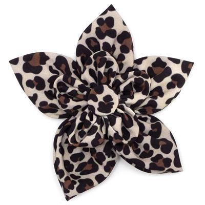 Leopard print collar bow on a white background