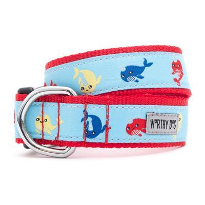 Dog collar with colorful fish pattern on a blue background