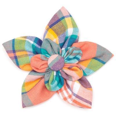 Colorful plaid collar flower on a white background