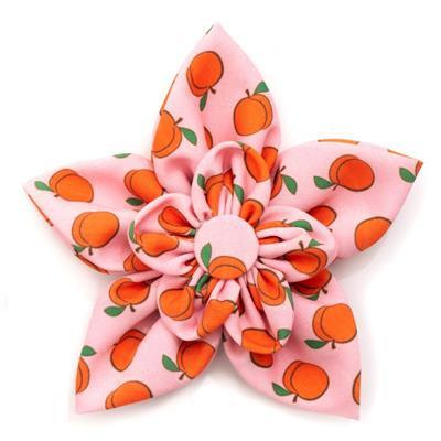 Star-shaped collar flower with peach pattern on pink background