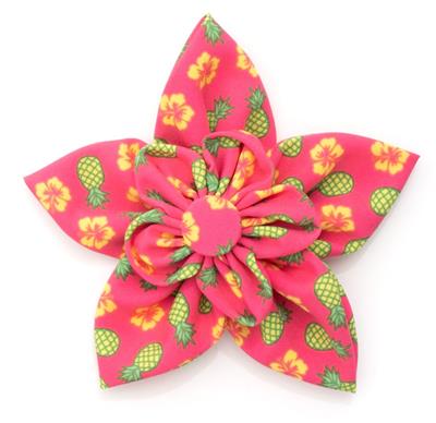 Pink collar flower with pineapple and flower pattern on a white background