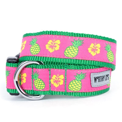 Pineapples Collar & Leash Collection