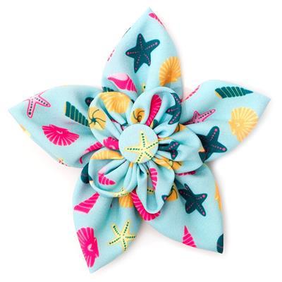 Colorful collar bow with starfish and shell pattern on a light blue background