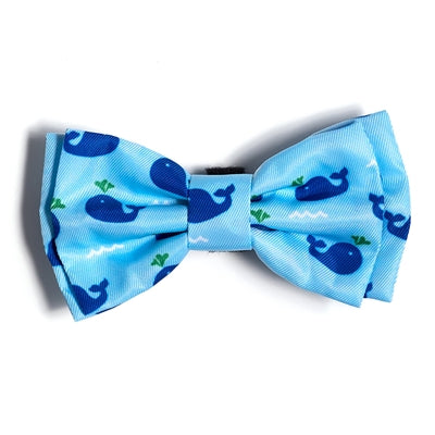 Squirt Bow Tie