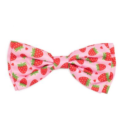 Pink dog bow tie accented with strawberries pattern on white background