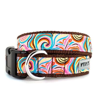 Colorful swirl-patterned dog collar with a brown border on a white background