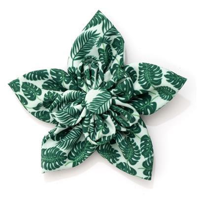 Ggreen collar flower with tropical pattern on white background