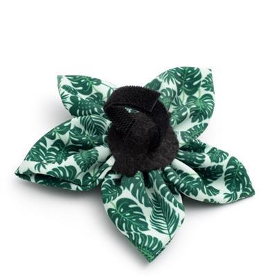 Two green collar flowers with tropical pattern with Velcro closure on white background